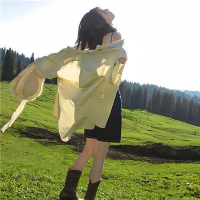 抢来的新娘 在线观看封面